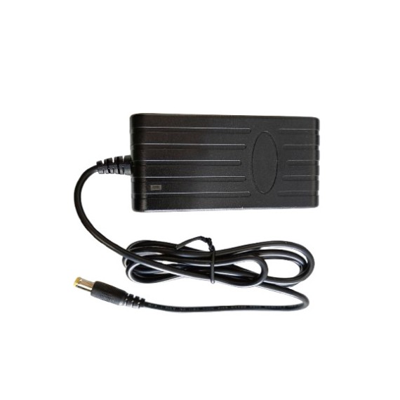 CARGADOR BATERIA LITIO SAVE 24V 1A NE